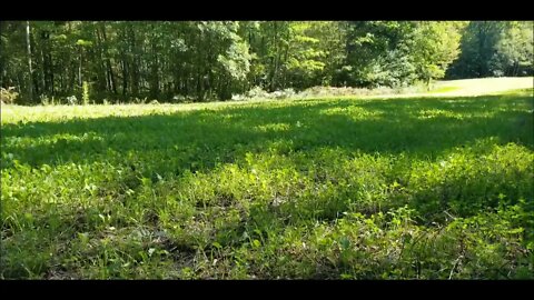#79 'Fall Food Plot Fertilizing' Complete Deer TV Landscaping for Whitetails