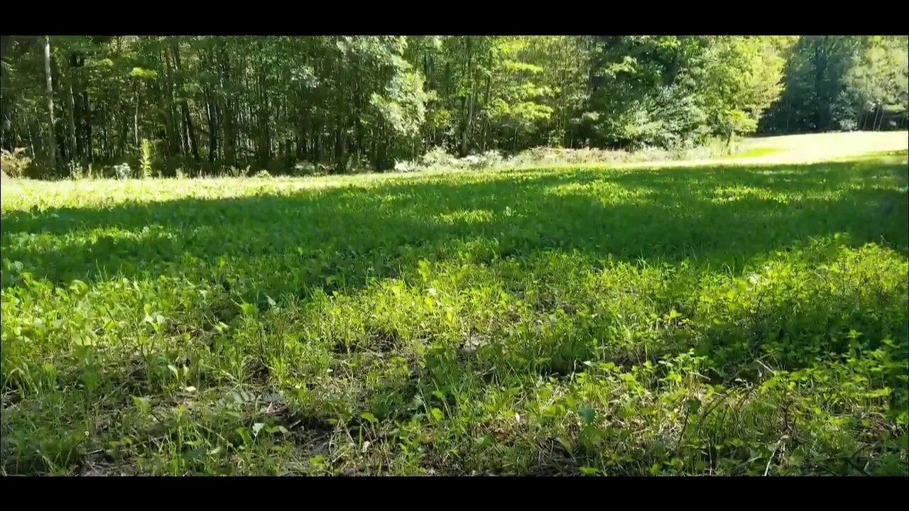 #79 'Fall Food Plot Fertilizing' Complete Deer TV Landscaping for Whitetails