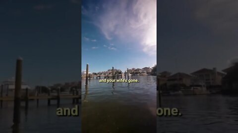 Words of wisdom ⬇️