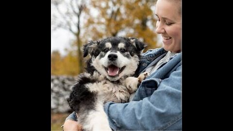 The title is "Faithfully Yours: The Amazing Bond Between Humans and Their Pets."