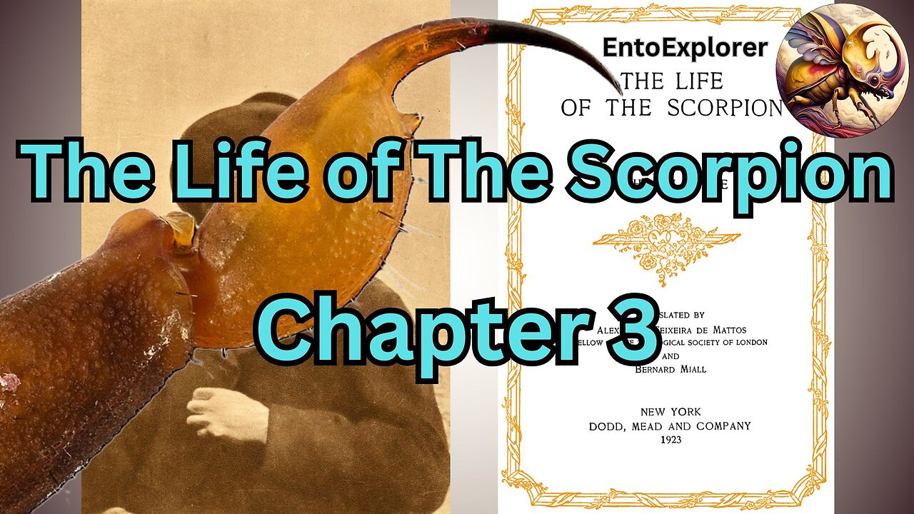 The Languedocian Scorpion: The Poison - Chapter 3 of The Life of the Scorpion by Jean-Henri Fabre