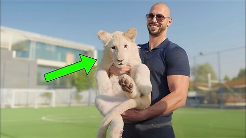 Andrew Tate buys a RARE $1.2million TIGER