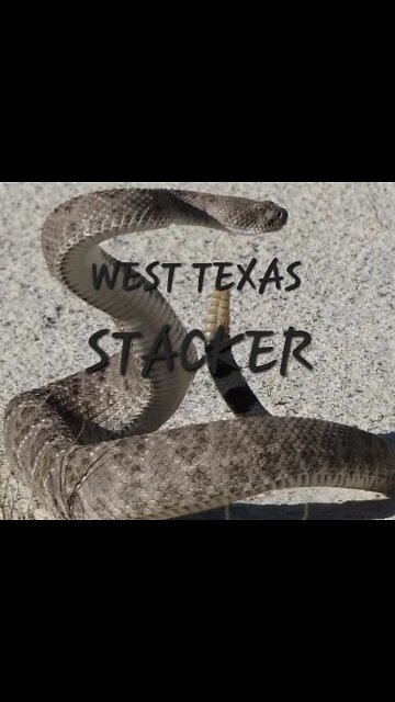 cowboy up your dirty bastards #cowboy up #america #kickass