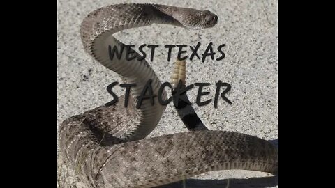 cowboy up your dirty bastards #cowboy up #america #kickass