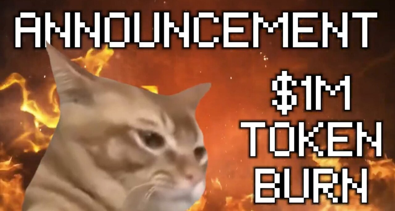 Meme Coin Catslap to Burn $1 Million in Tokens on Friday December 20th, SLAP Price Rise Incoming