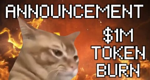 Meme Coin Catslap to Burn $1 Million in Tokens on Friday December 20th, SLAP Price Rise Incoming