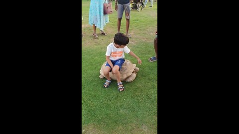 Baby Arham sitting on big old turtle 🐢
