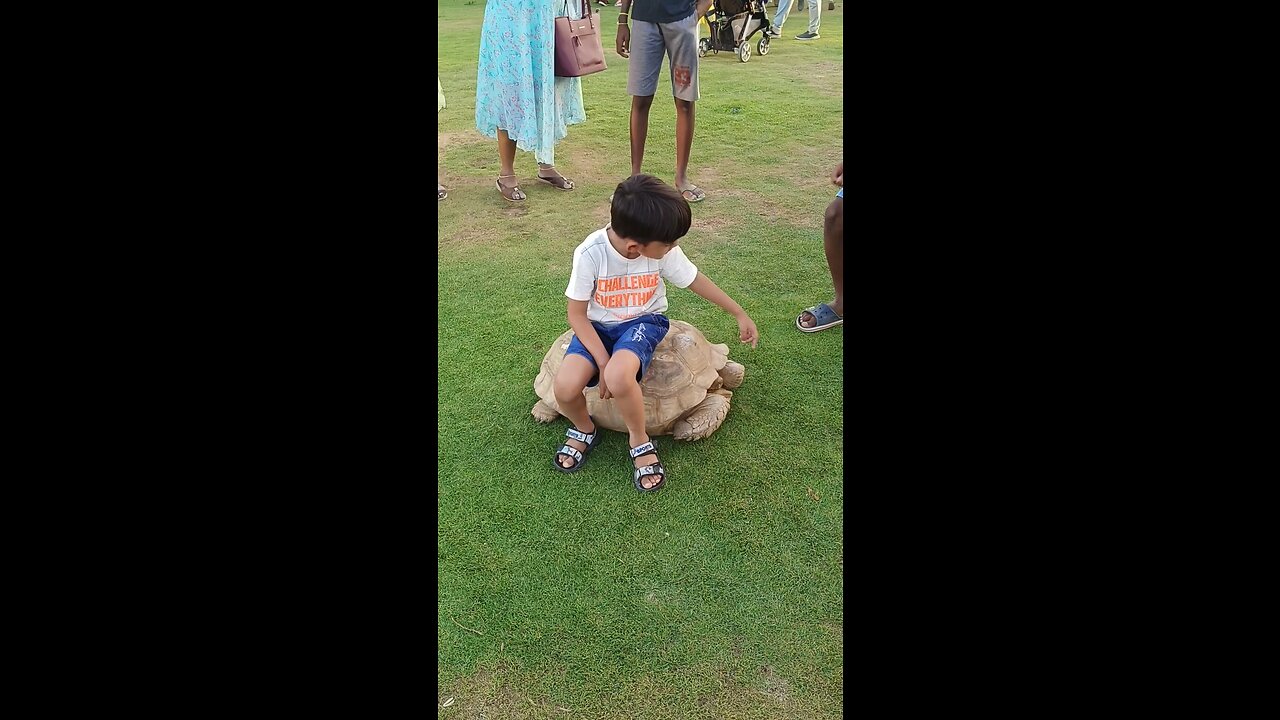 Baby Arham sitting on big old turtle 🐢