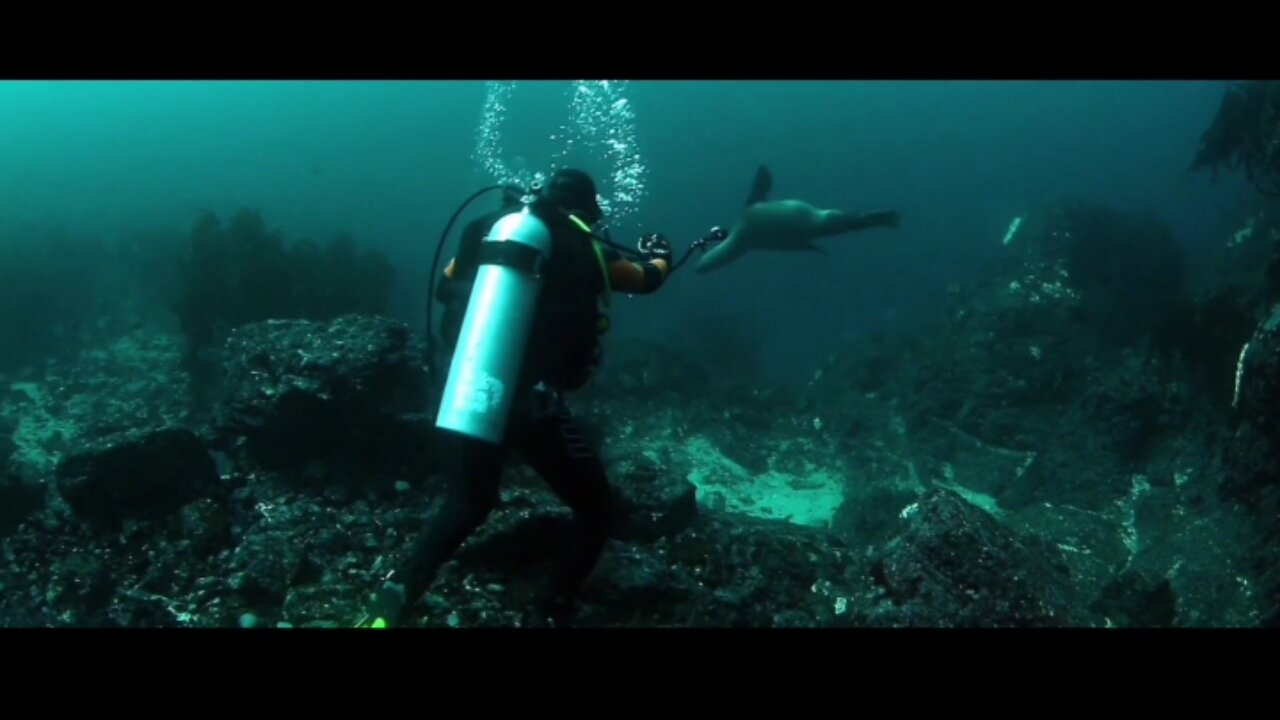 Fight with fish by swimming underwater