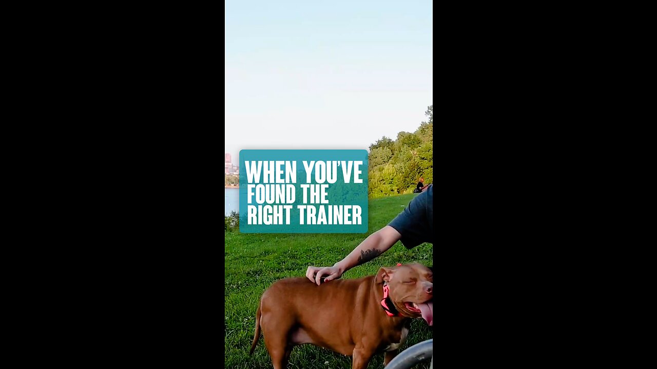 When You’ve Found The Right Trainer
