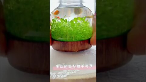 Best gadgets!😍Smart Kitchen Appliances |Smart Home Appliances [Makeup & Beauty]