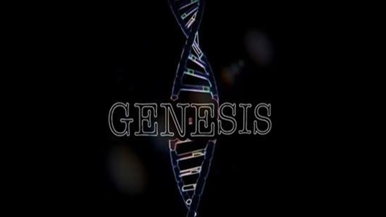Bible Study: Part 2 Return Of The Tare's And The Sins Of The Fathers