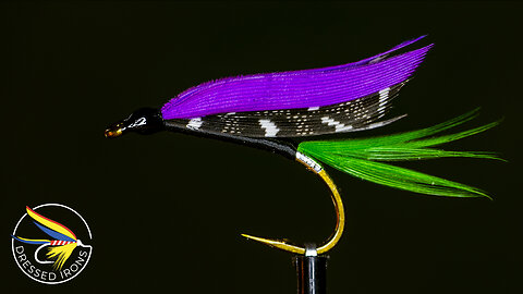 Tying the Black Moose - Dressed Irons