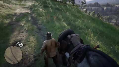 Red Dead Redemption 2 part 4