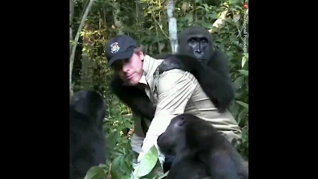 Everyone Warned Him Not To Meet The Guerilla he raised