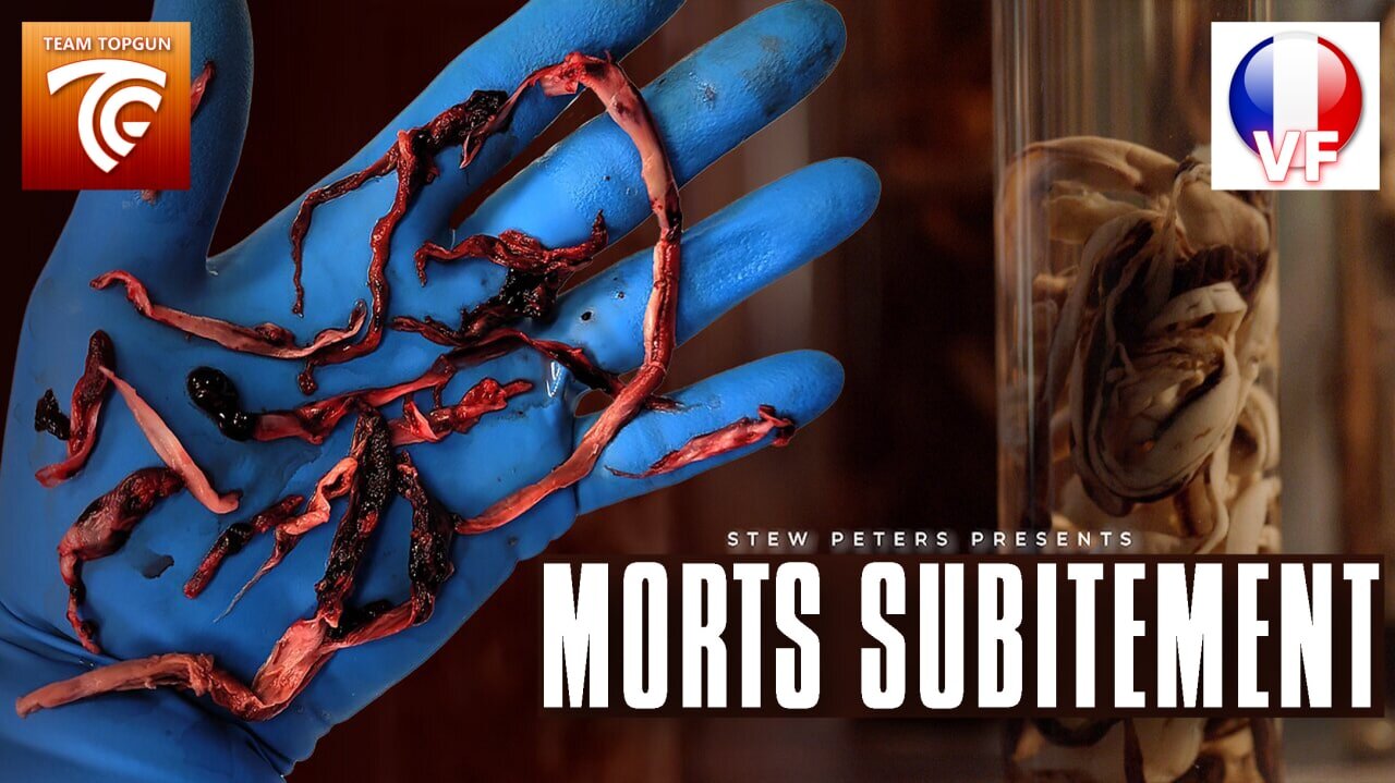 "MORT SUBITEMENT" Le documentaire complet en VF doublé