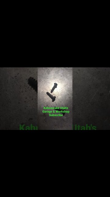 Feeding the adjustables - #shorts