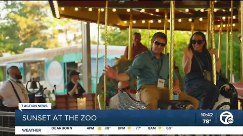 Sunset at the Detroit Zoo