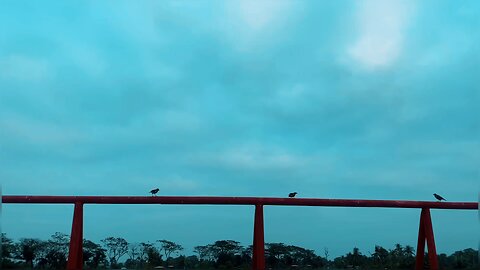 A Beautiful Day ll we loved winter morning