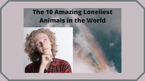 Top 10 loneliest animals in the world