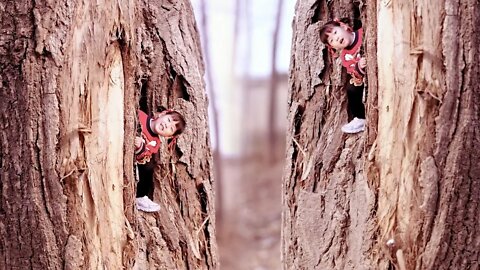 Naughty baby into the tree hole