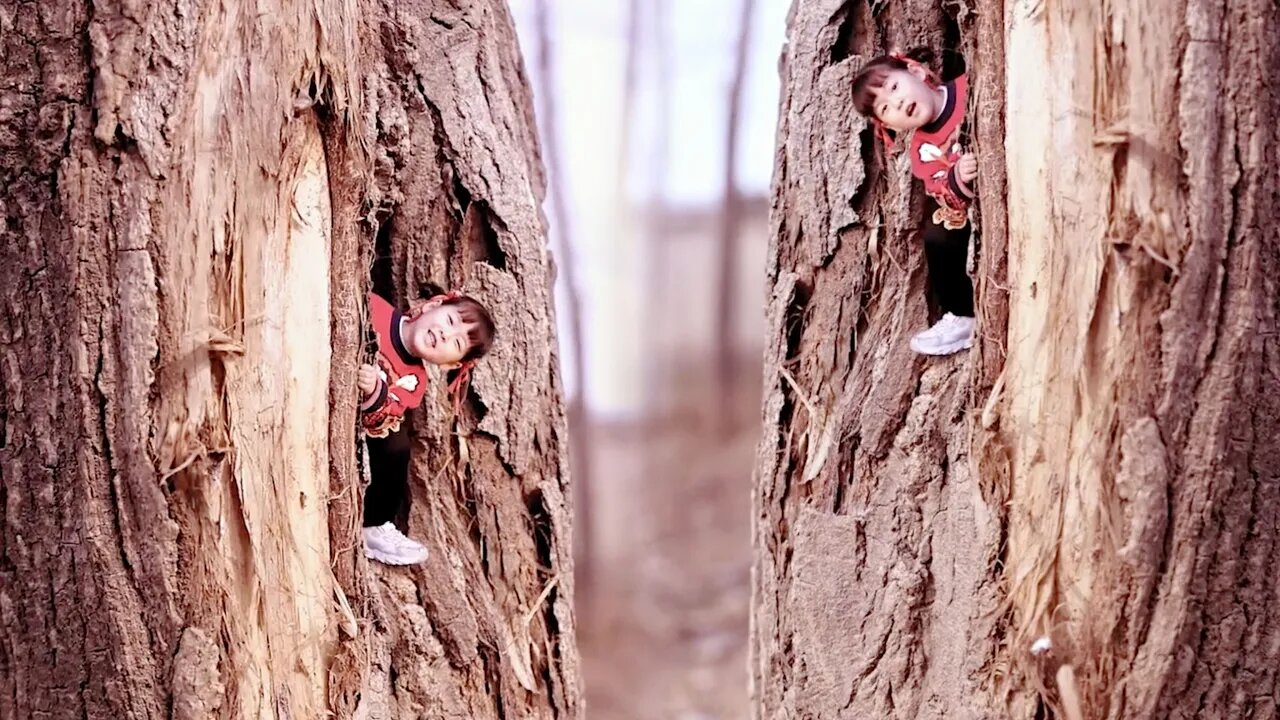 Naughty baby into the tree hole