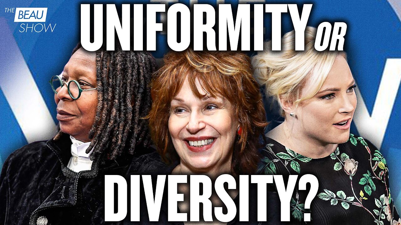 'The View'? Sure, the Democrat View | The Beau Show