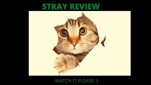 Stray Recenzja