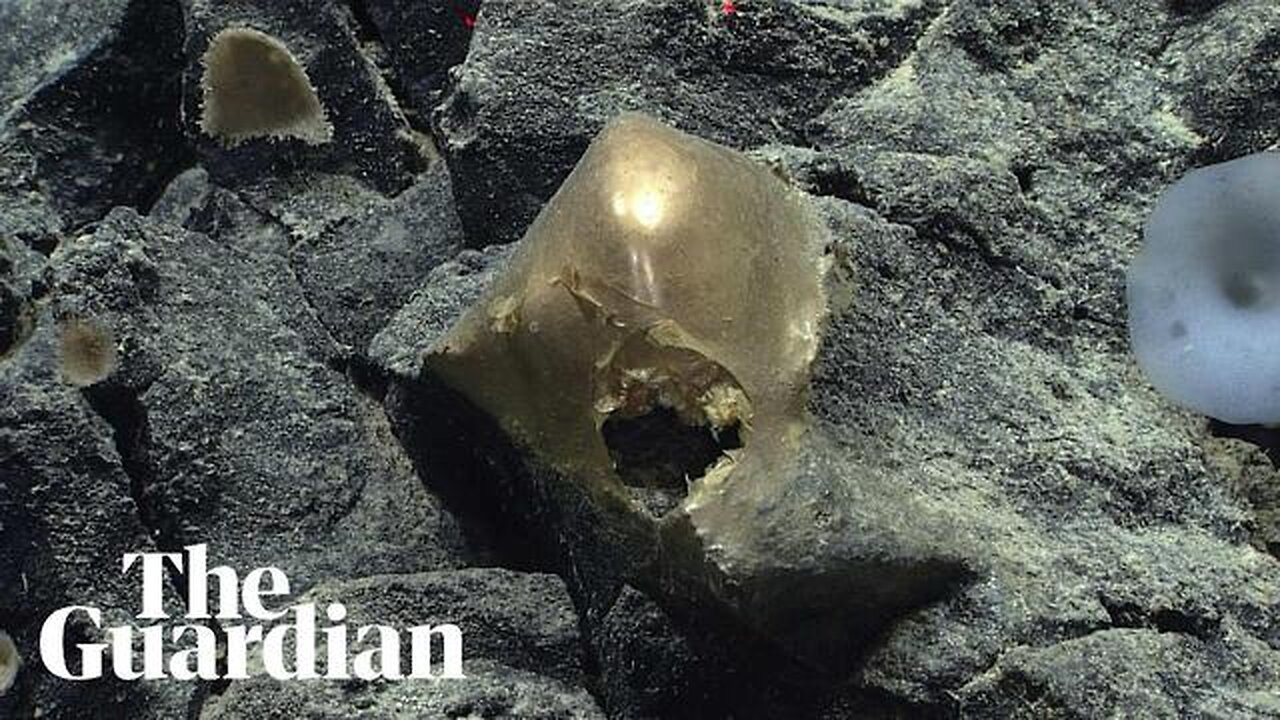 Mysterious golden orb found on Alaskan ocean floor