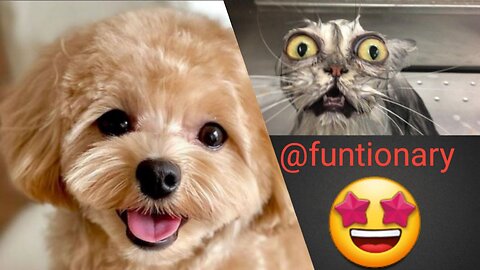 just fun. video no 4