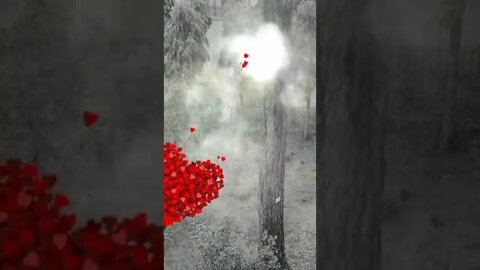 beautiful Bangladesh natural video