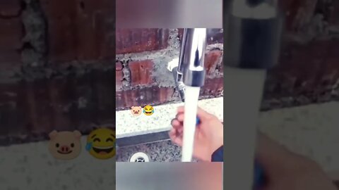 Индивидуальный предприниматель🐷
