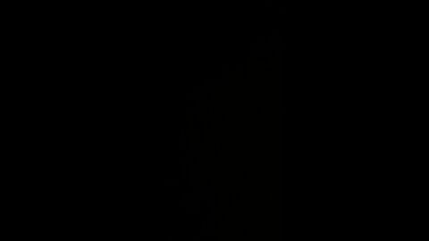 Pituitary growth spurt