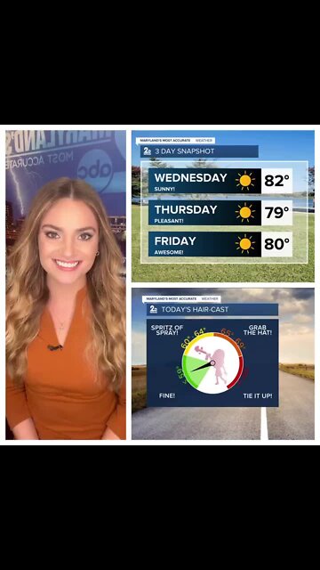 Stevie's Scoop: Sunny & Seasonal