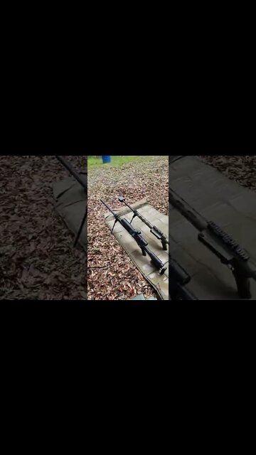 50 BMG Action Today!