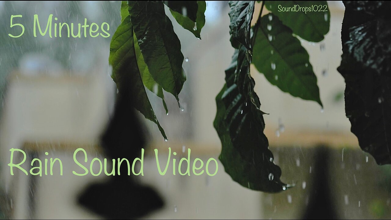 Refreshing Rain: 5-Minute Sound Ambience
