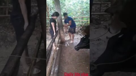 oh my god, what do husband and wife do in the barn