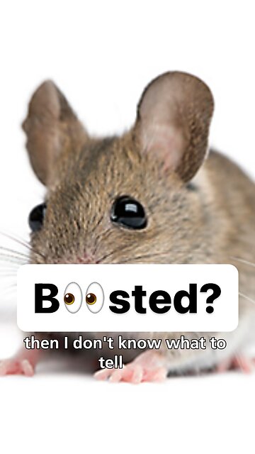 Should I get the B👀STER?