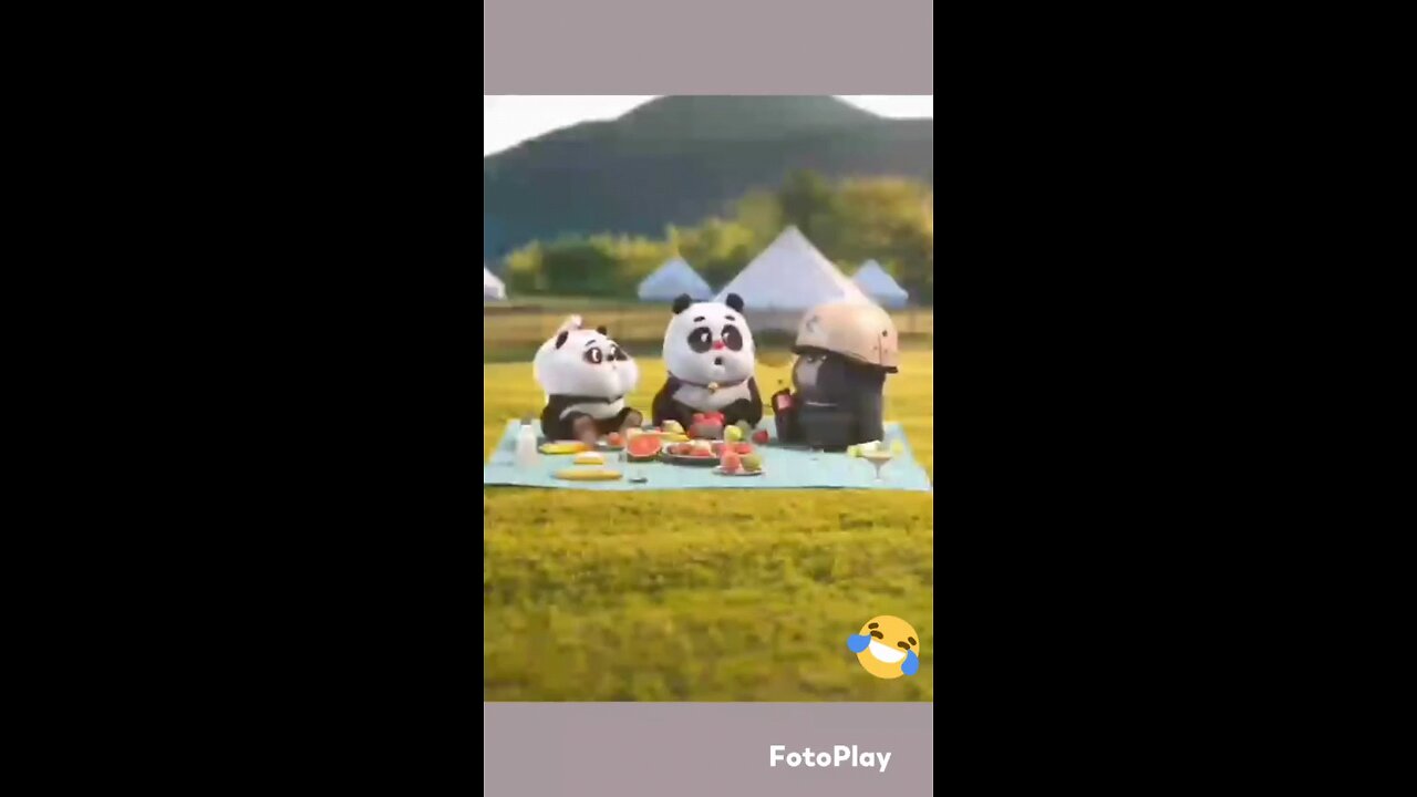 panda fun video