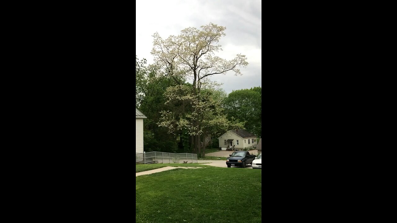 Tornado Sirens Create Beautiful Eerie Harmony in Iowa City