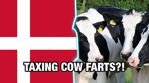 Taxes Stink: Denmark Imposes First-In-World 'Cow Emission' Tax