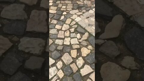 Beautiful peacock, Portugal