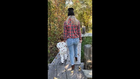 Wetlands board walk
