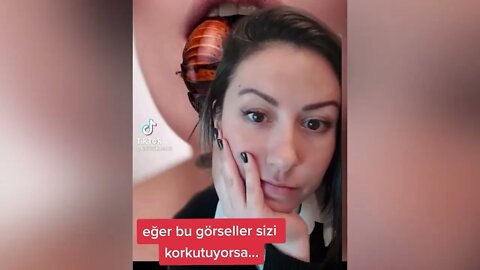 Daisy Daisy creepy TikTok trend PART 224