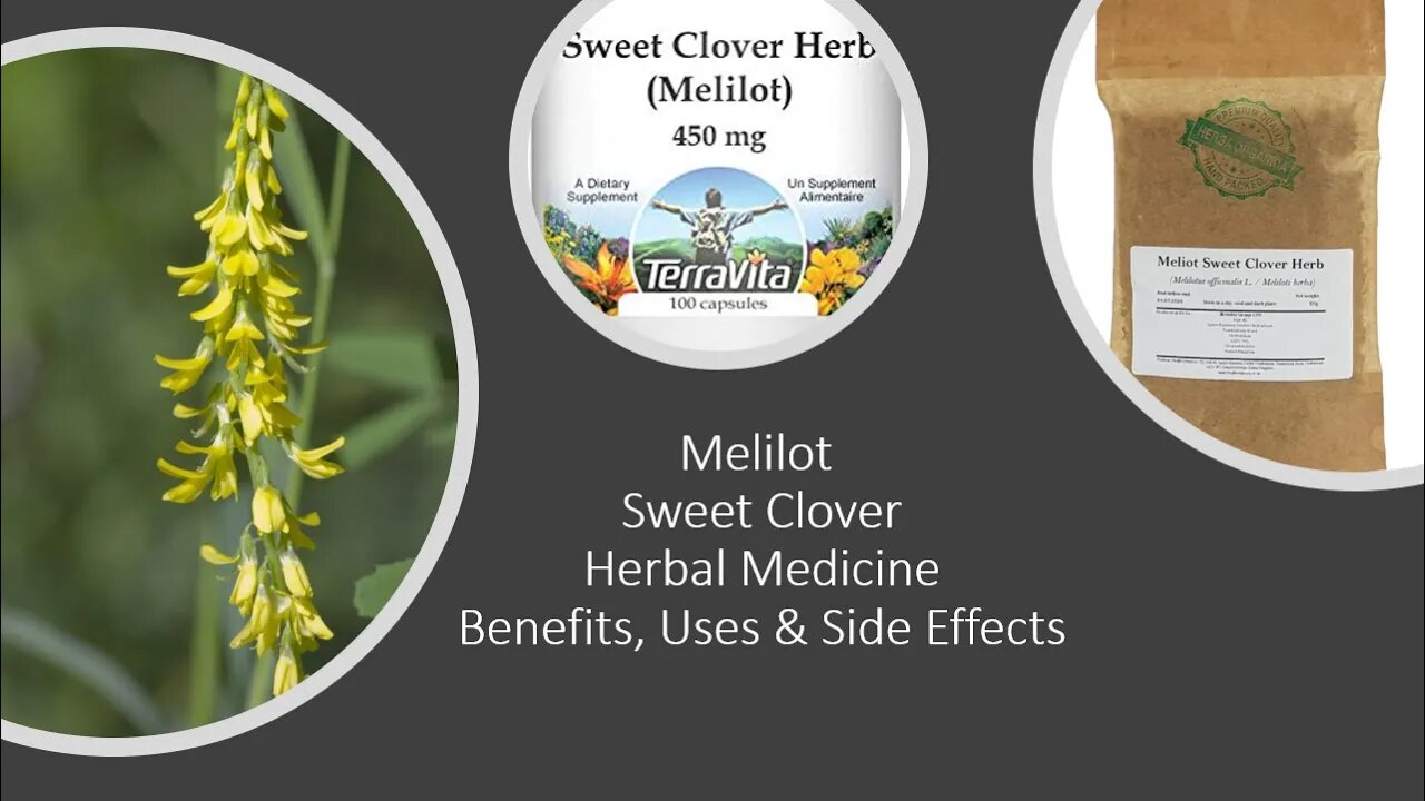Melilot - Sweet Clover - Herbal Medicine - Benefits, Uses & Side Effects