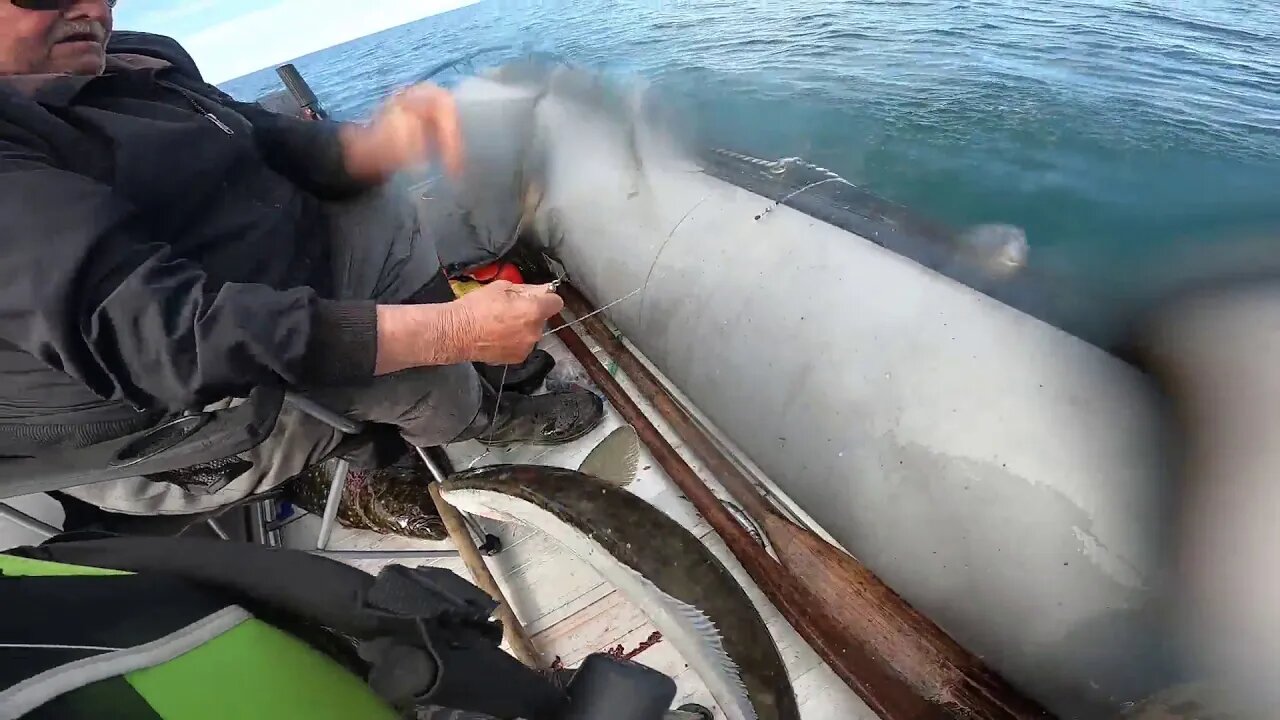 Fishing and catching a Halibut in Cook Inlet Alaska