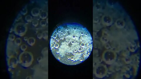 Amazing Microscope scene that below your mind after watching this. #microscope