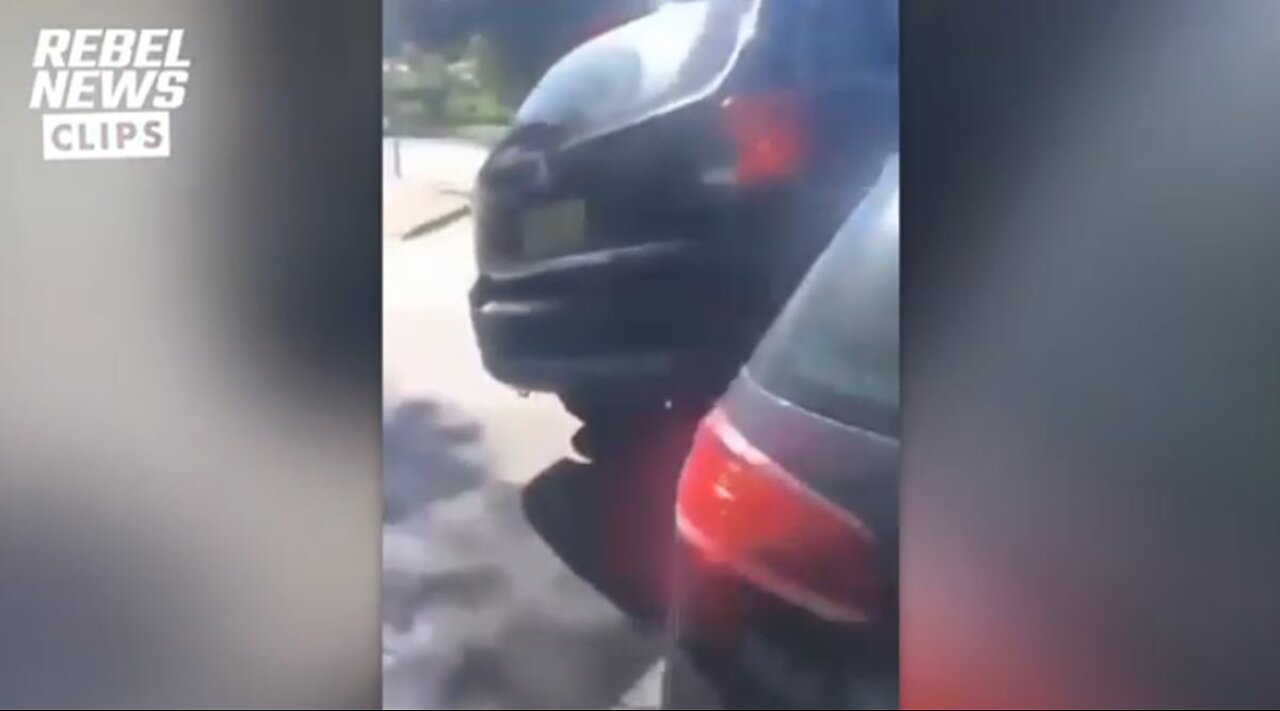 They shoot horses, don´t they?