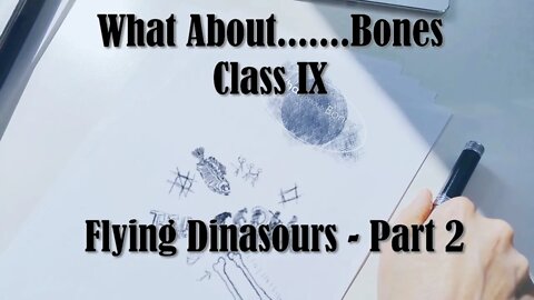 What About...... Bones | Flying Dinosaurs Part II | Class IX | Reasons for Hope
