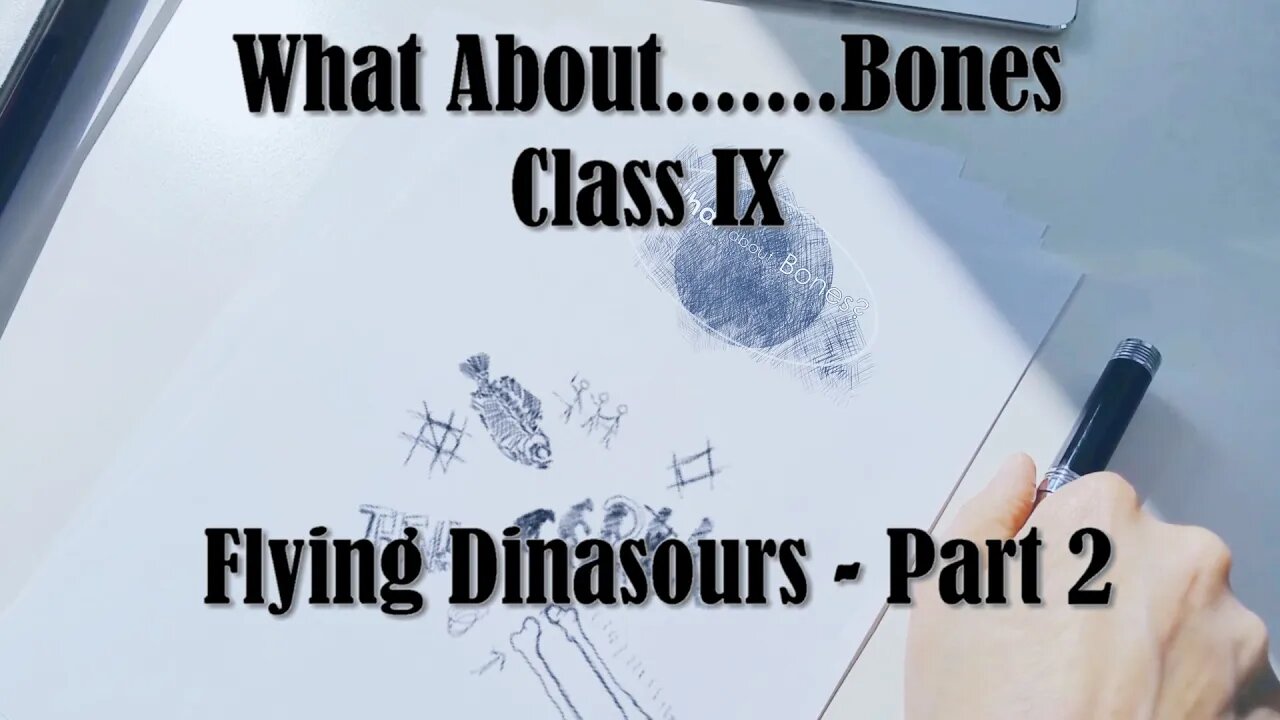 What About...... Bones | Flying Dinosaurs Part II | Class IX | Reasons for Hope